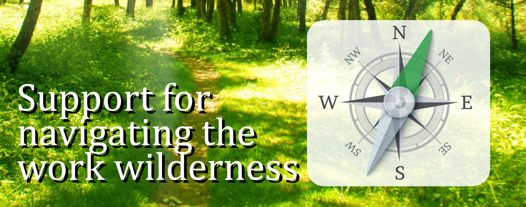 Banner---compass-career-hub